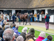 NH051025-54 - Thewoodcorner